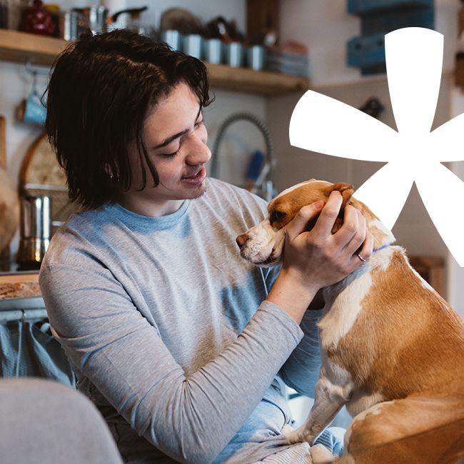 Pet sitters insurance Superscript